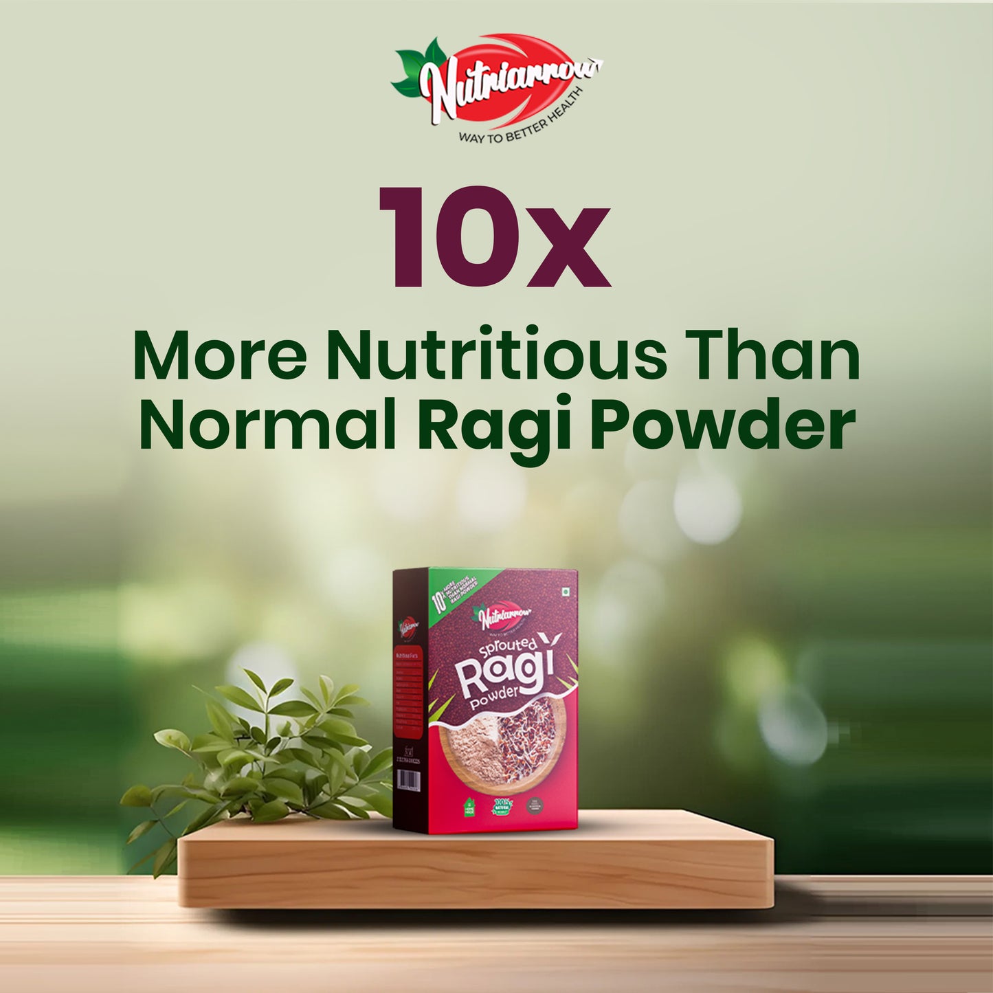 Sprouted Ragi Powder